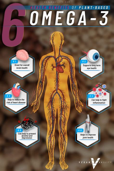 vegan omega 3 benefits